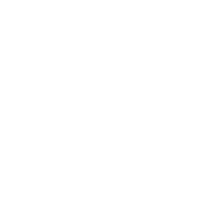 Custom Logo Valley